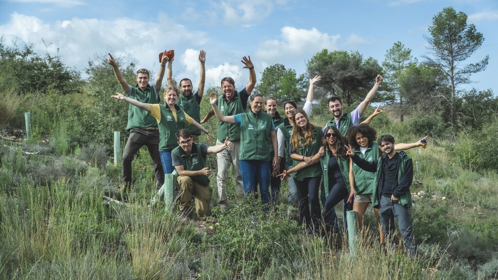 Life Terra herbebossing