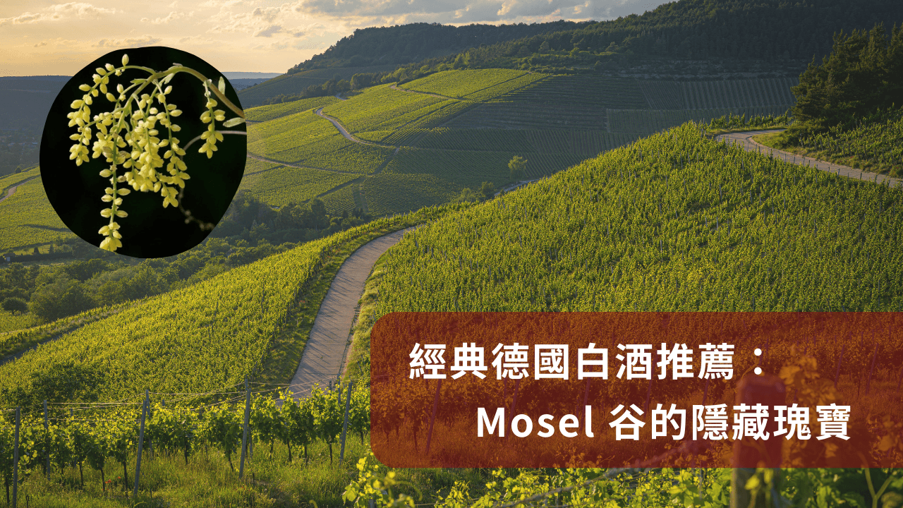 Mosel谷經典德國白酒推薦