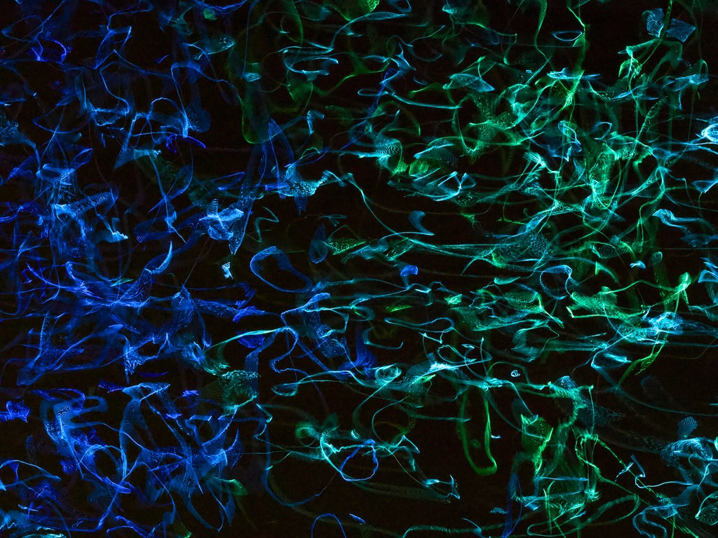 Visa performs well in earnings report, shows stablecoin volume growth and adds new networks (Steven Lawson / Unsplash) 