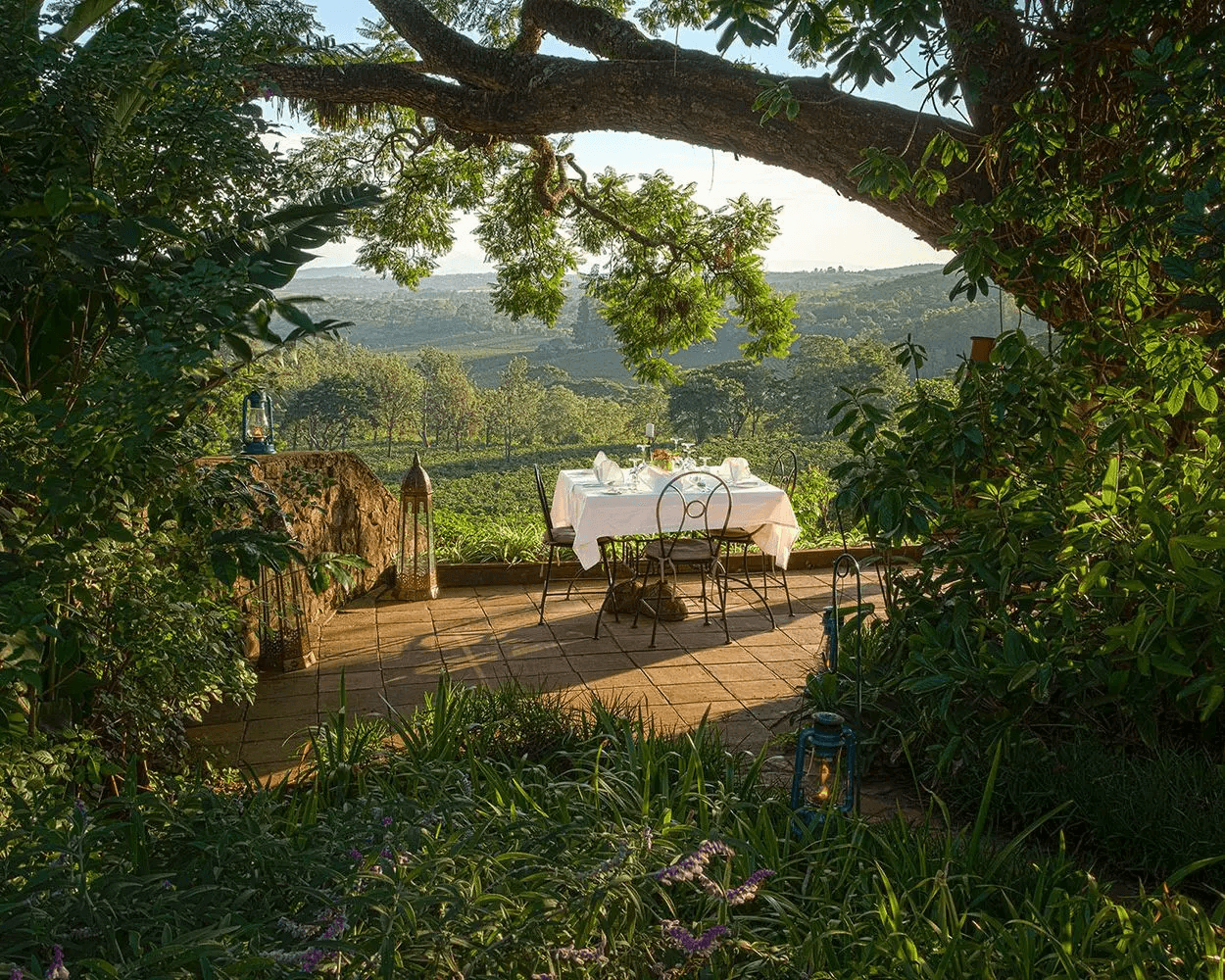 Gibb’s Farm Dinner Table