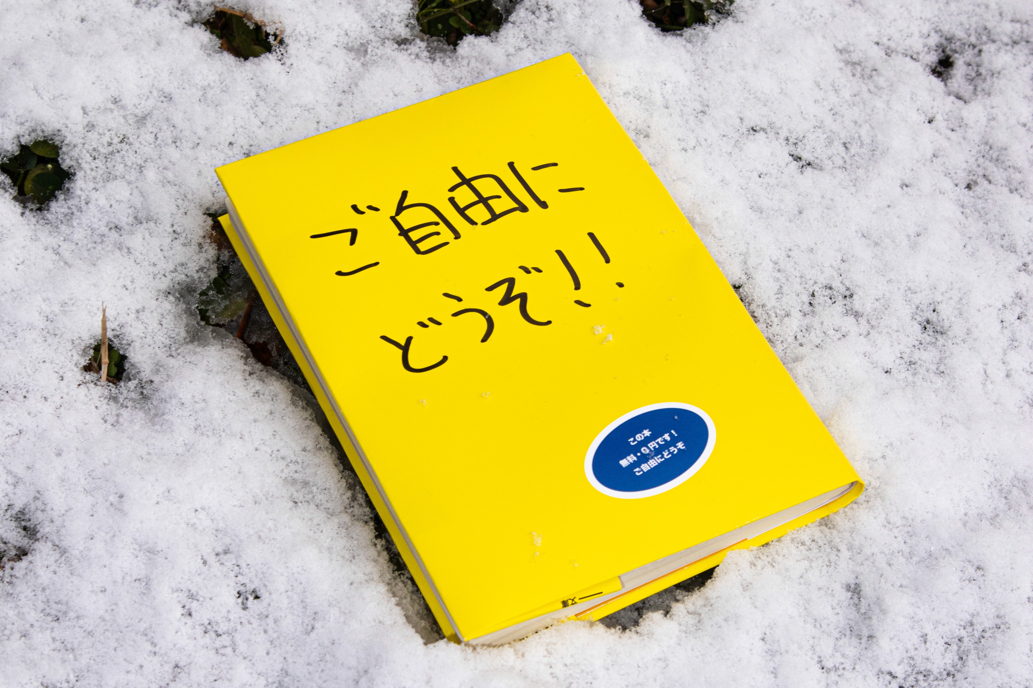 City Lemon Book Cover