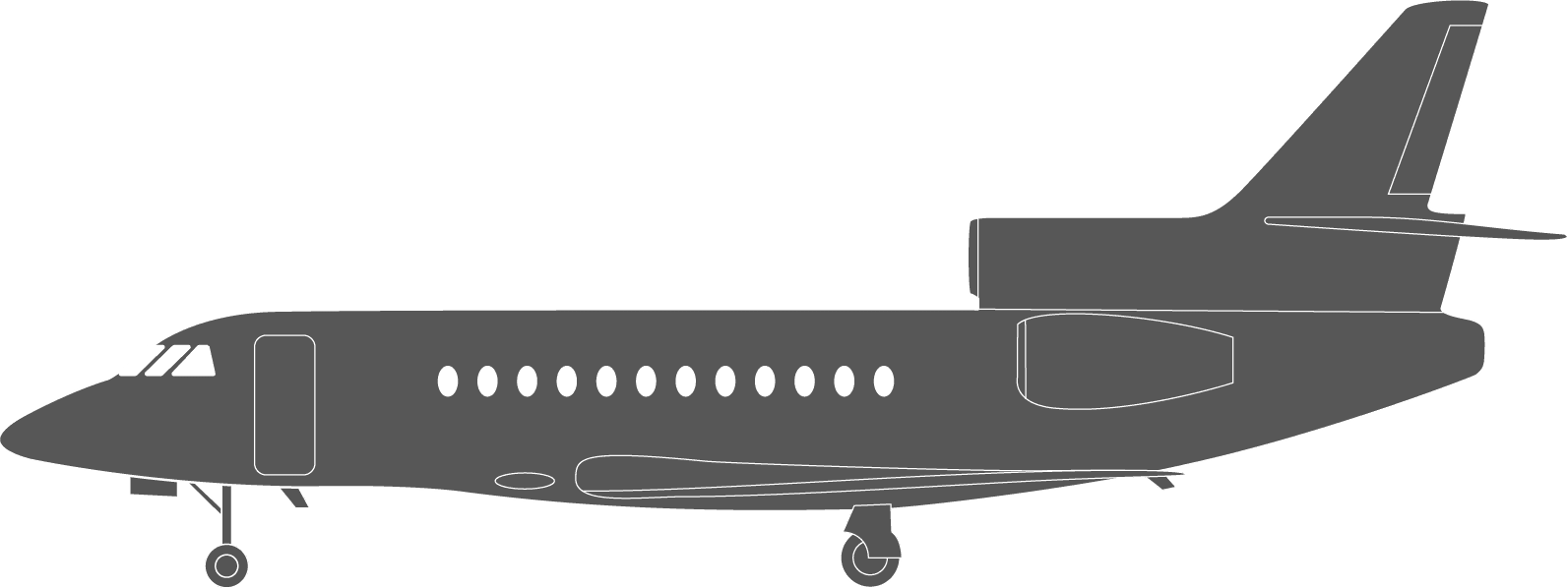 Dassault Falcon 900 Icon