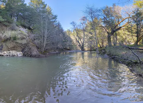 The river and surrounding forest near Dark Fairy Farm, inviting slow outdoor exploration.