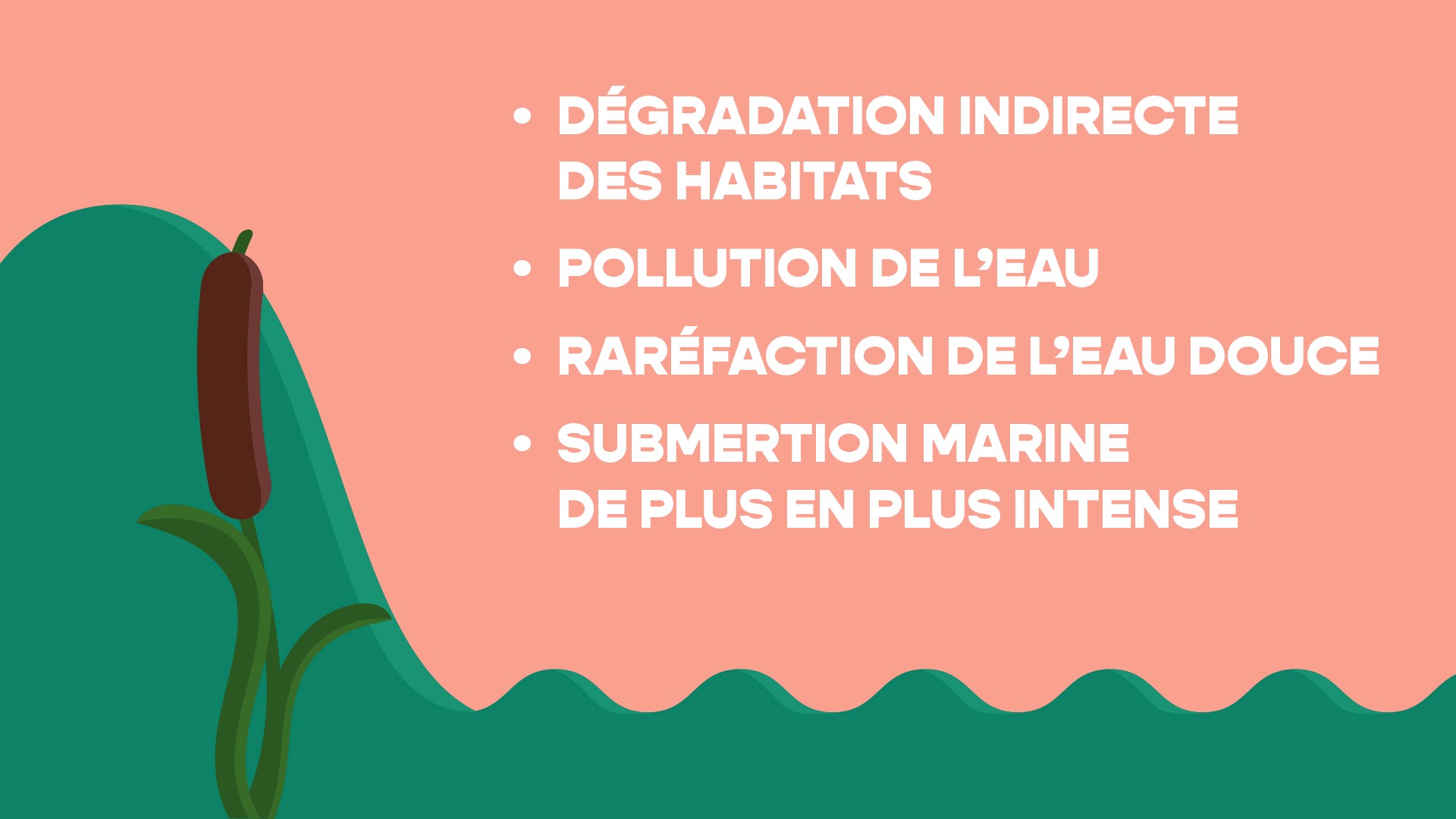 Planche 21 du storyboard