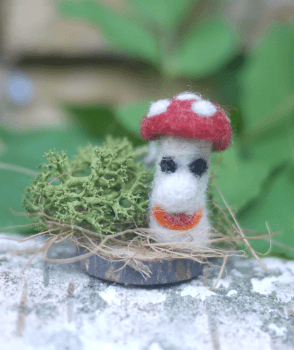 Pilz 2
