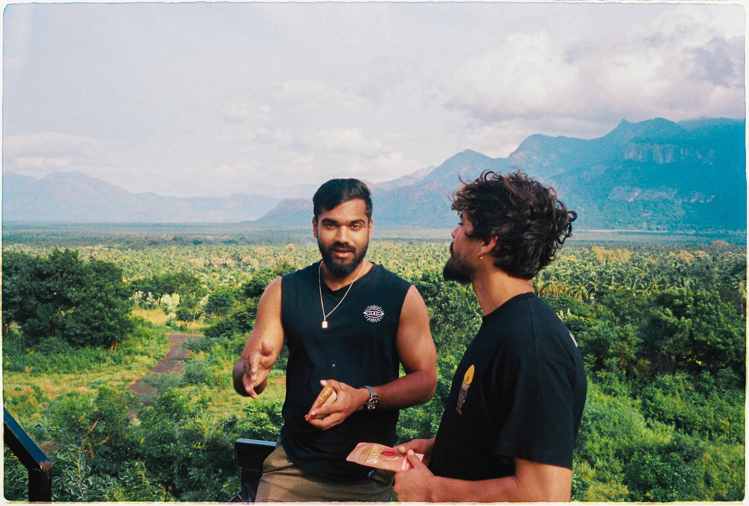 A green butterfly rests on a flower.