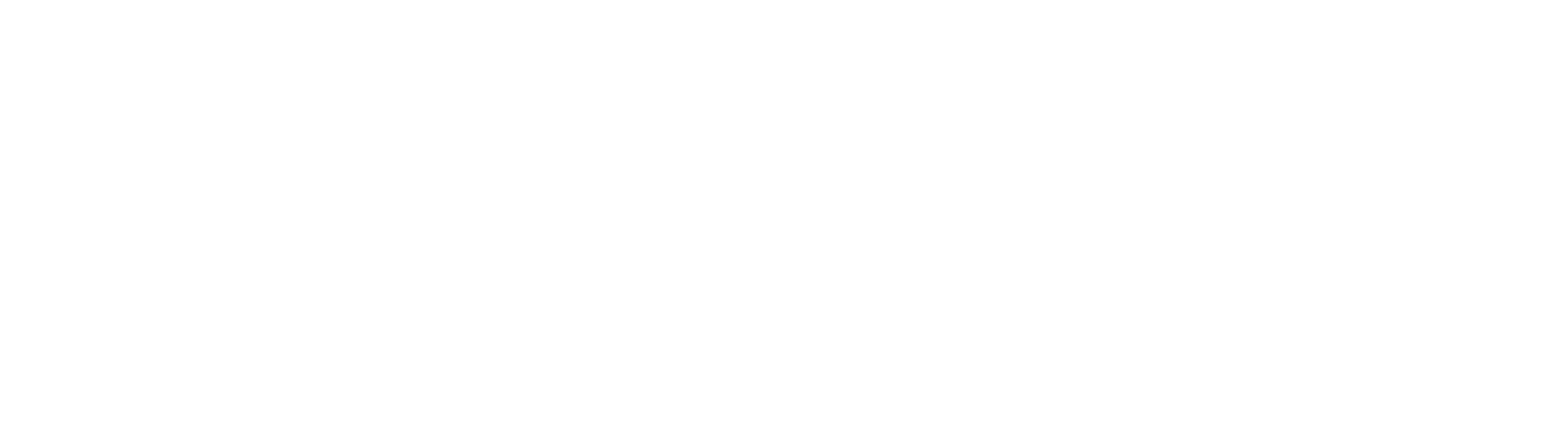 Partner logo 6