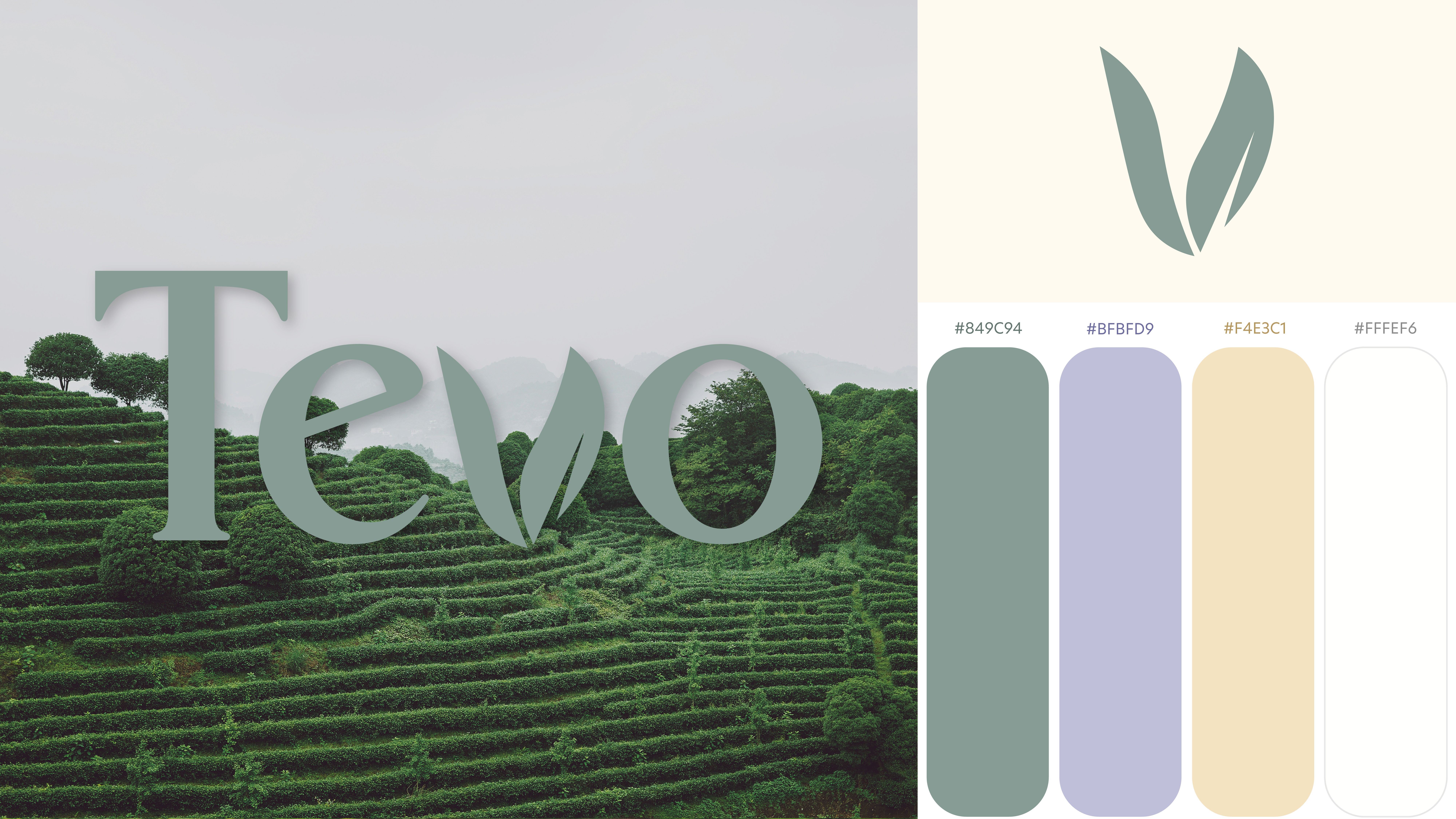 Brand identity graphic with the Tevo wordmark using a leaf‑shaped V, a tea‑field background, and a four‑color palette.