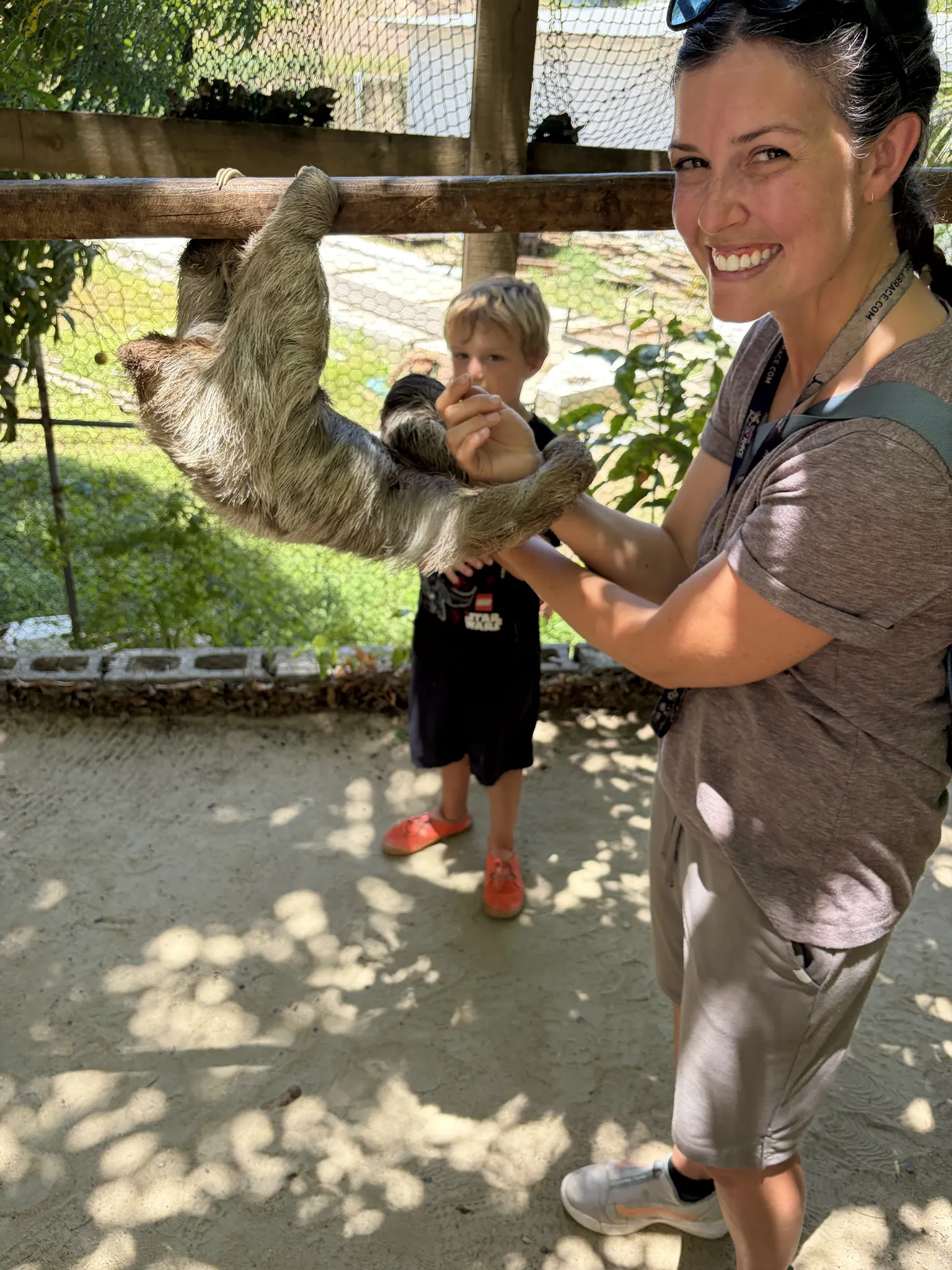 A two-toed sloth stretched along a wooden rail at AJ's Sloth and Monkey Hangout on Roatán