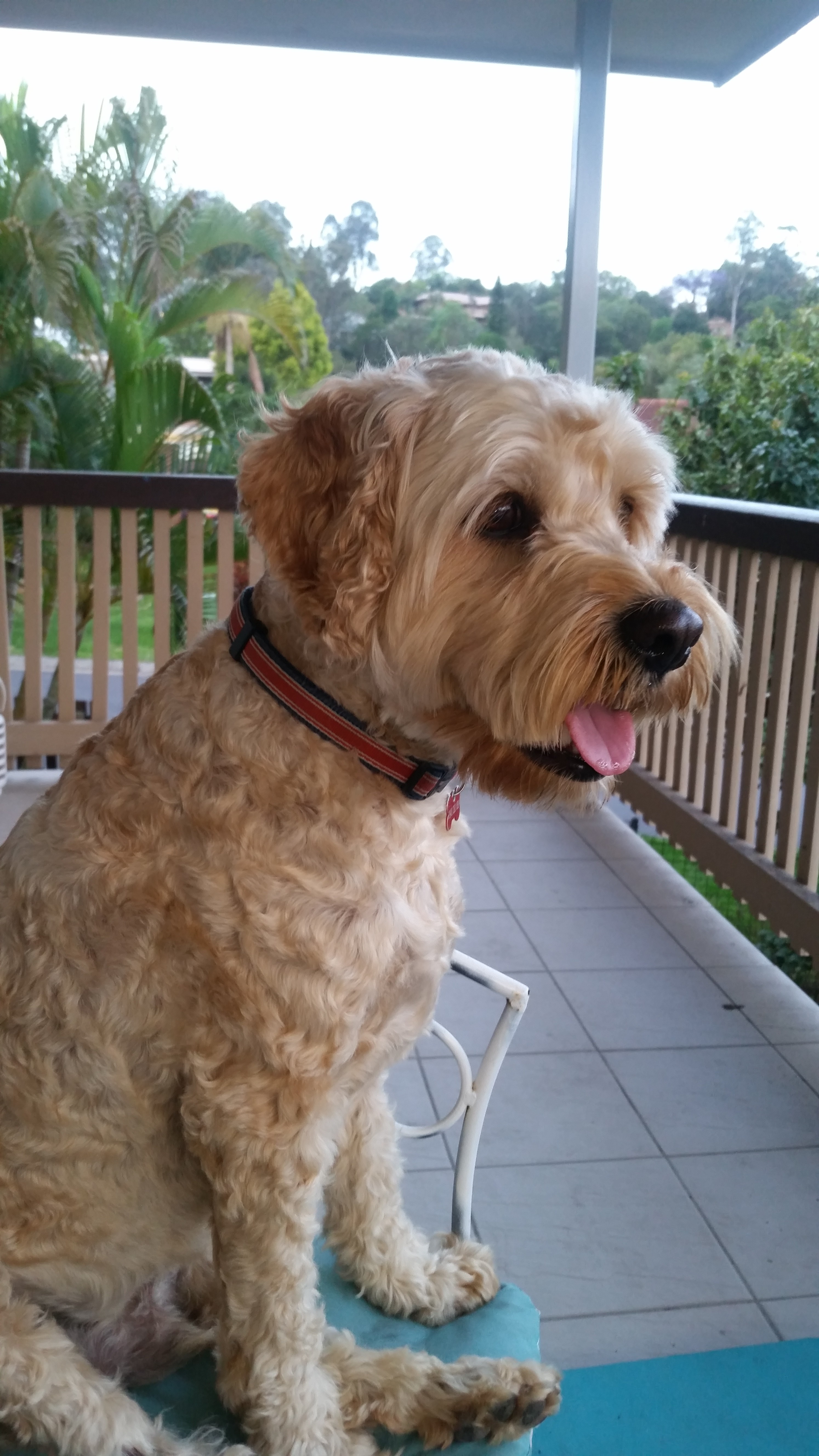 Customer Review Avatar