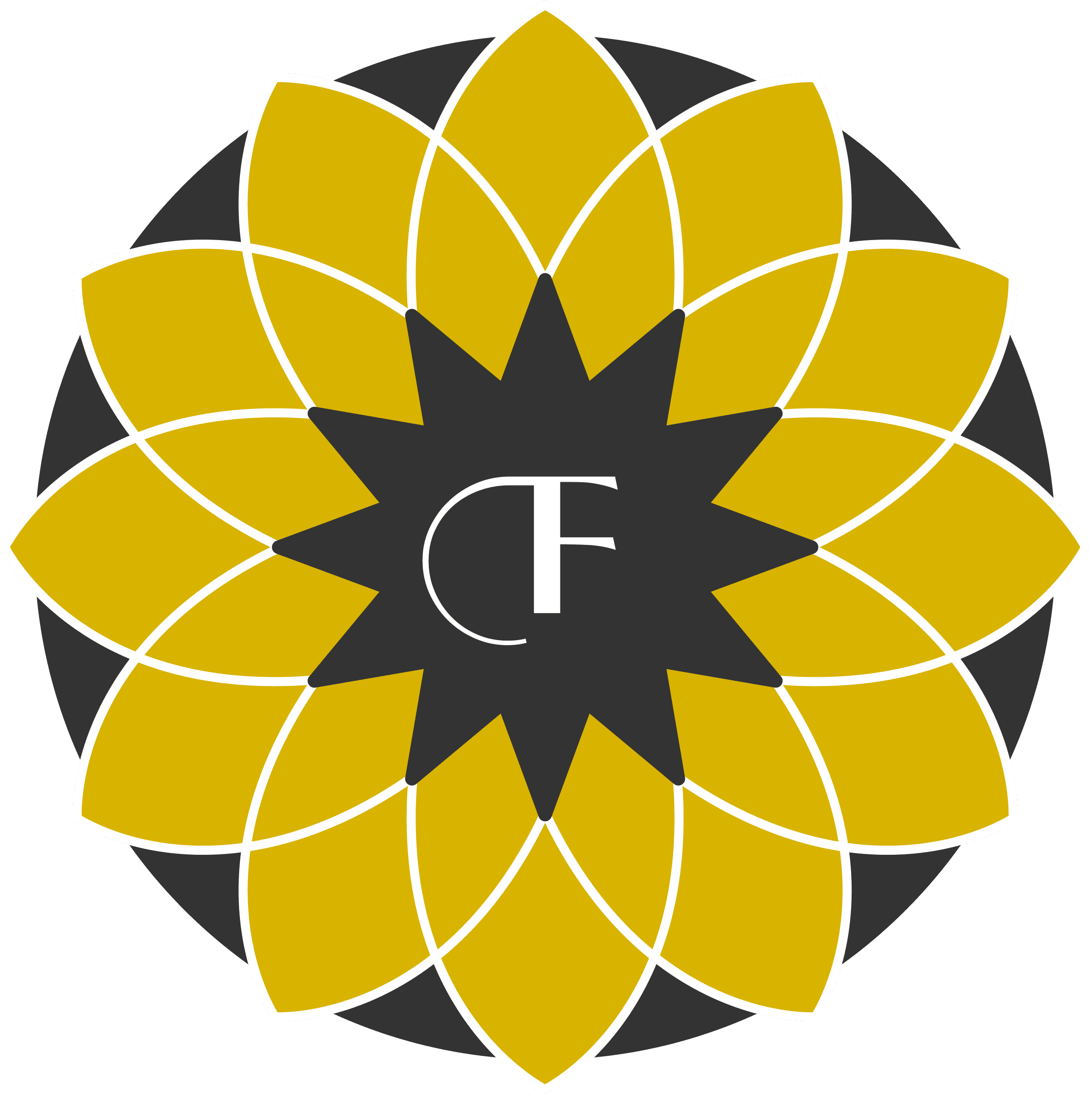 Fayz Oil Imports Logo