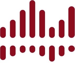 Neuron Soundware Old Identity — Previous bar-chart logo, dull red/black palette, and inconsistent visuals.