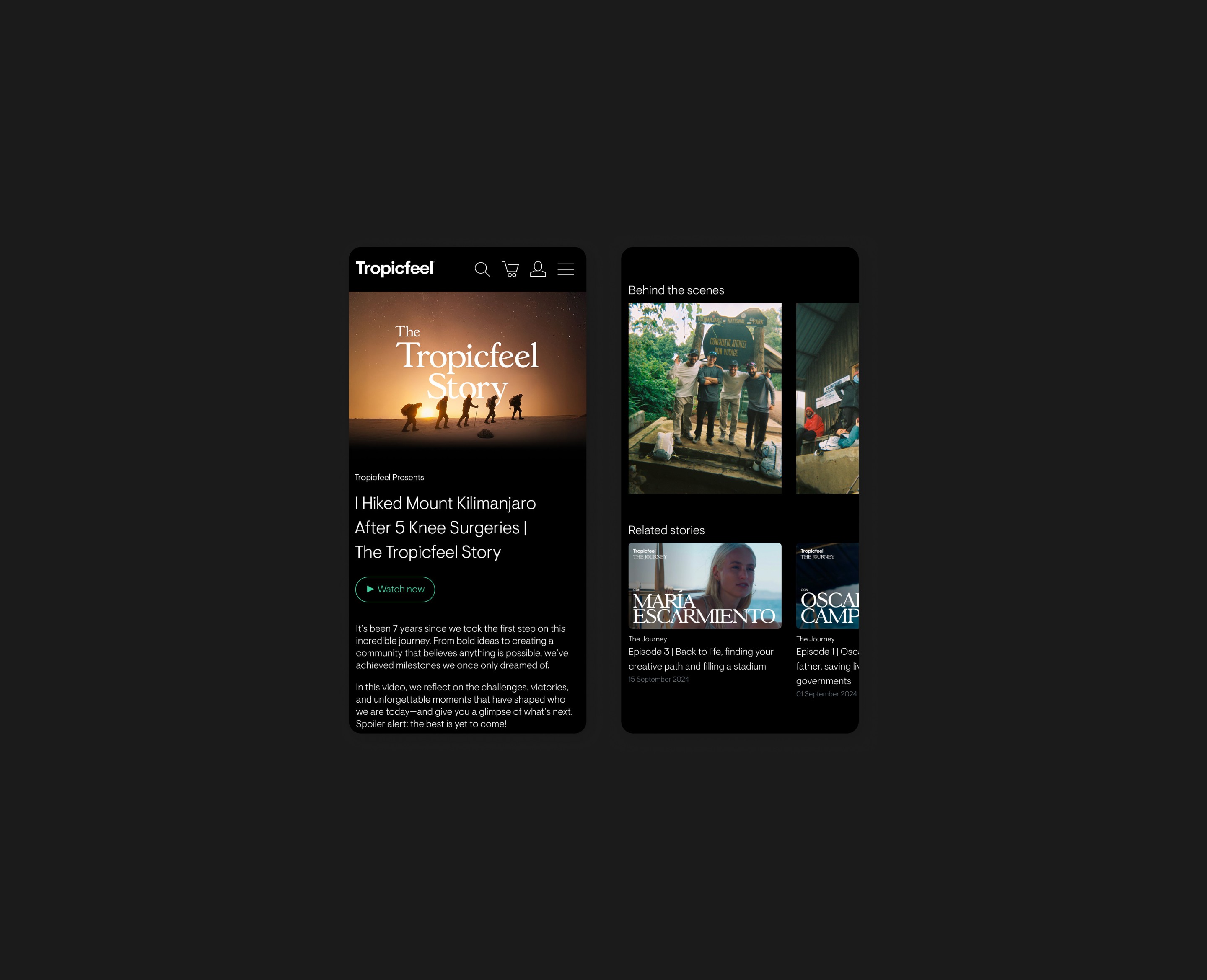 Project Gallery Image for 50% width of the screen #2