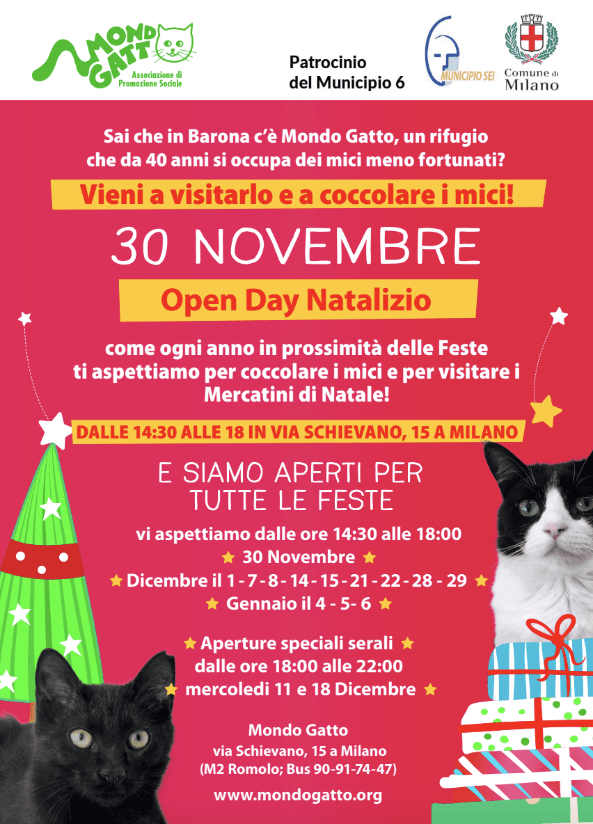 MONDO GATTO - OPEN DAY - Vieni a visitarlo e coccolare i mici 🐈