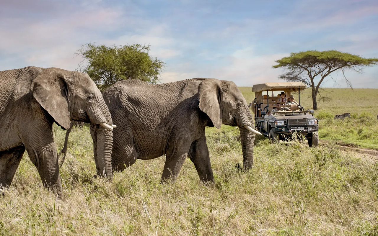 The Grand East Africa