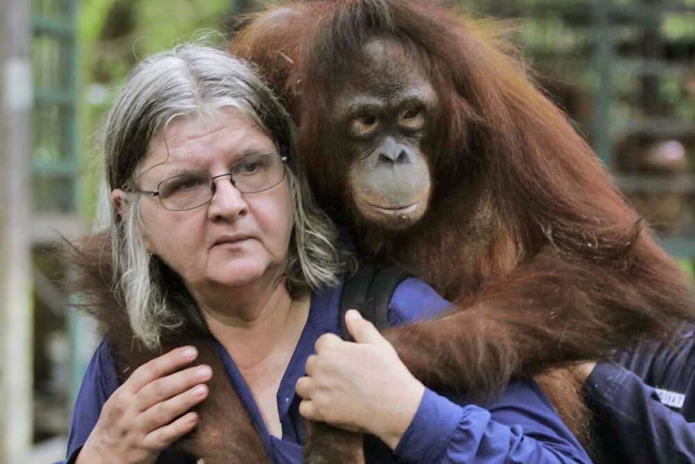 Portrait of Biruté Galdikas