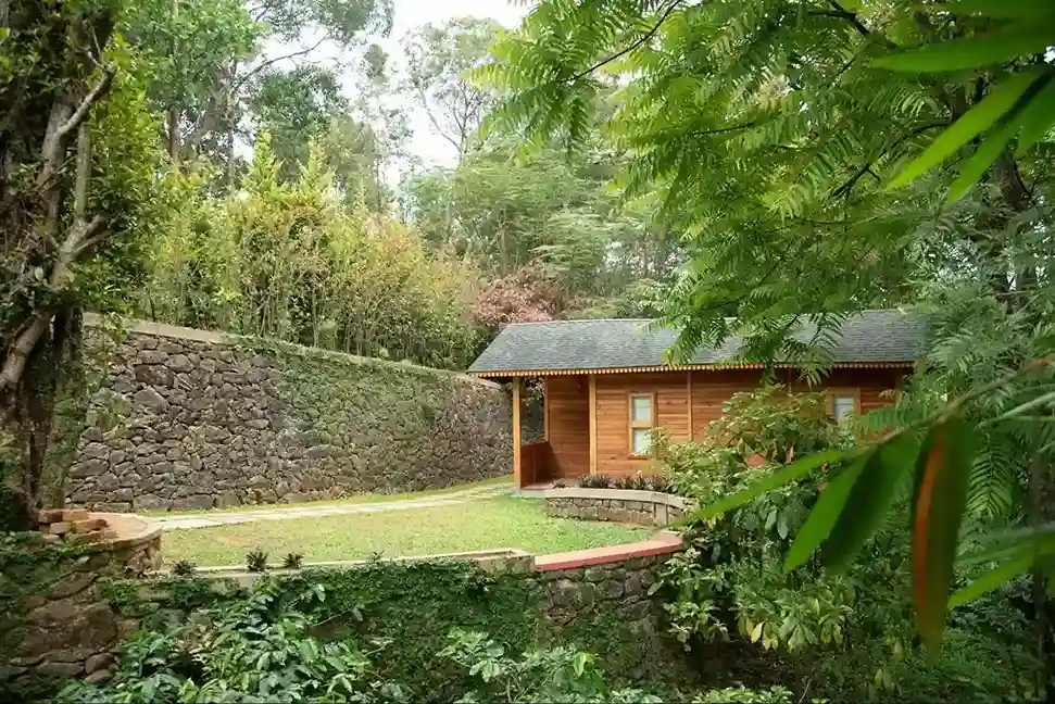 What Is Eco-Luxury Travel? Balancing Comfort, Nature, and Sustainability