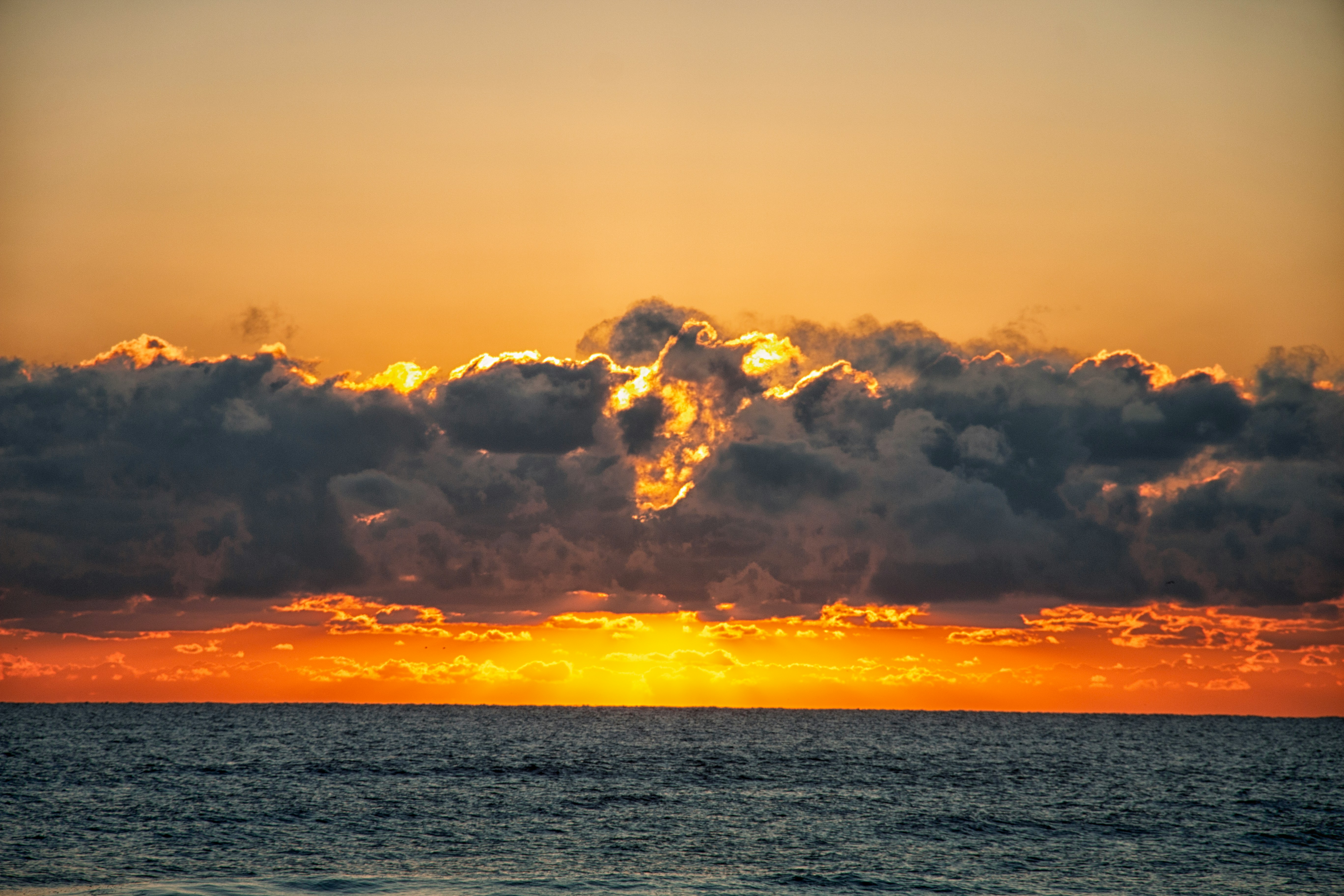 international exhibit services, exhibit program management, award-winning booth design services