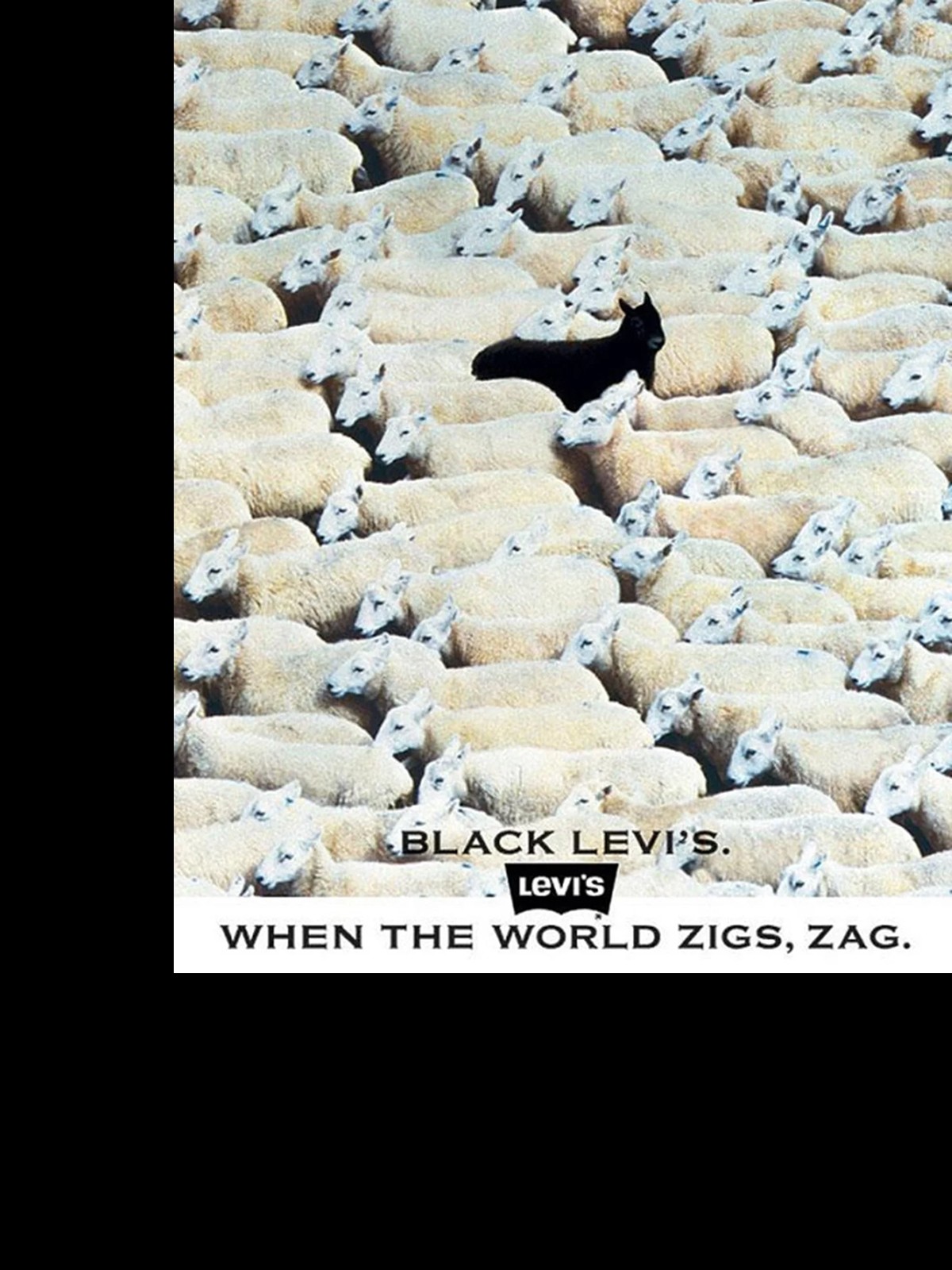 A fluffy gray rabbit rests on a floral chair.