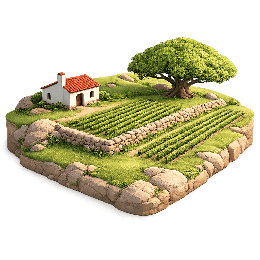 Artistic illustration of the San José wine region.