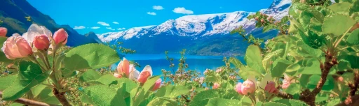 Hardangervidda, Hardangerfjorden og Bergen på samme tur