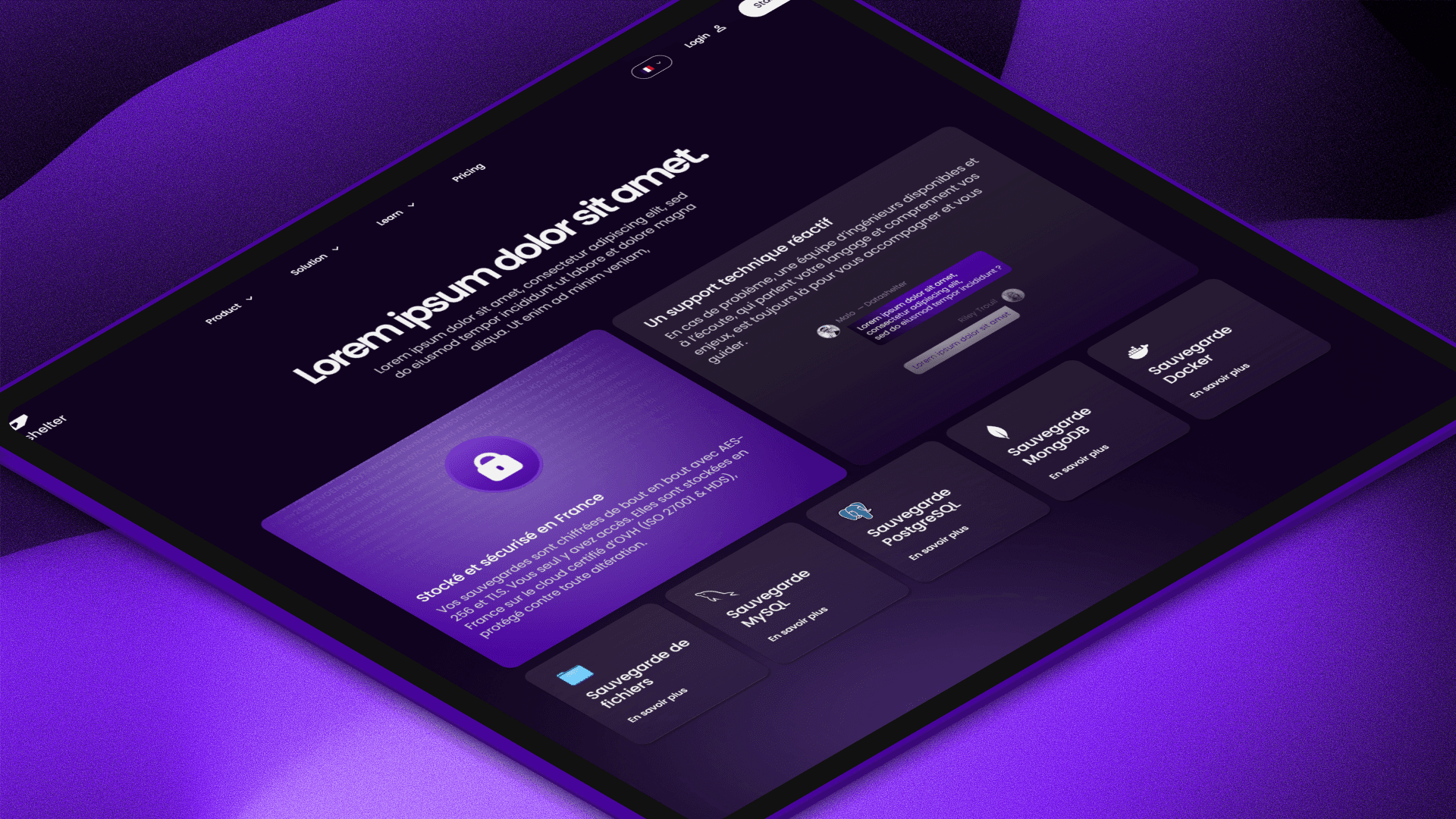 Value Section du site de DataShelter, commandé par JustDev et développé par Ilies MANATA, Développeur Expert Framer & Ux / Ui Designer, Freelance, Nord
