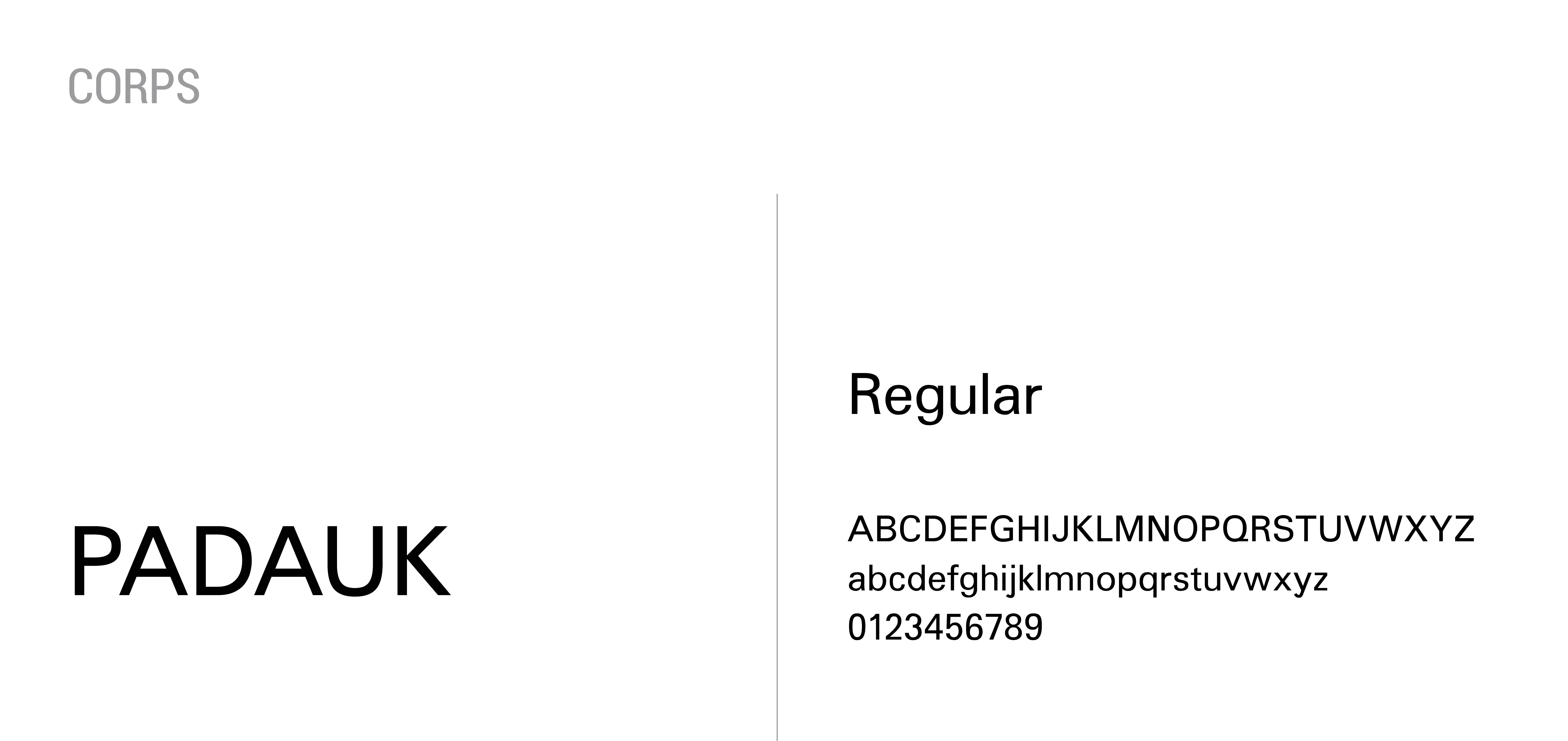 typographie-identite-visuelle-la-grotte-des-loups