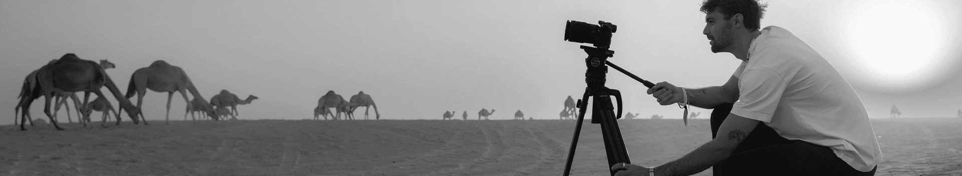 Team working in an office watching at a presentation