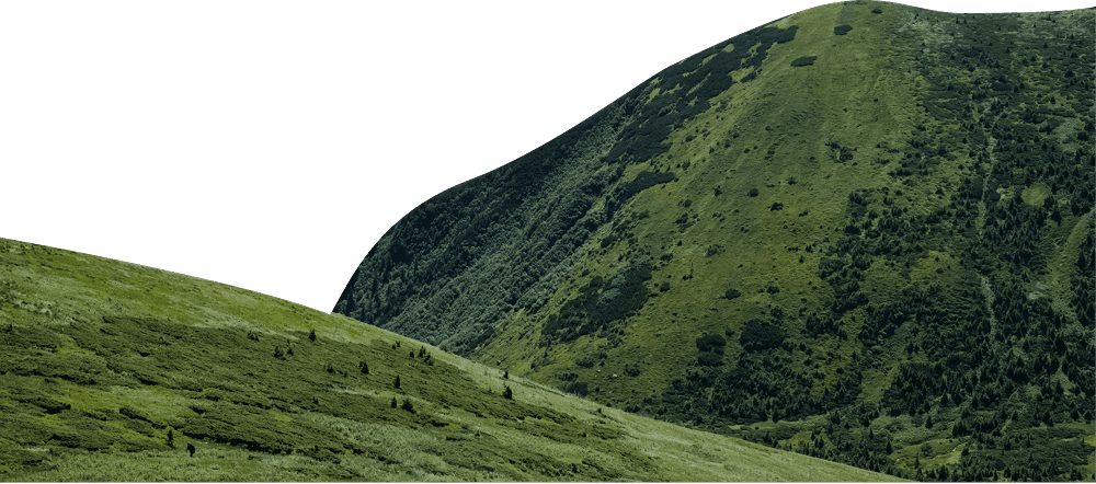 Гори карпат