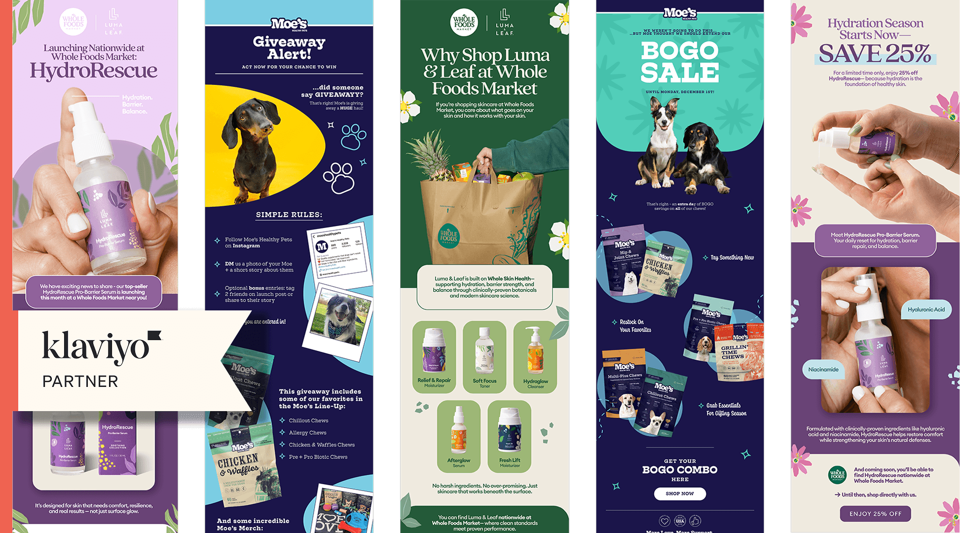 Email and lifecycle hero image