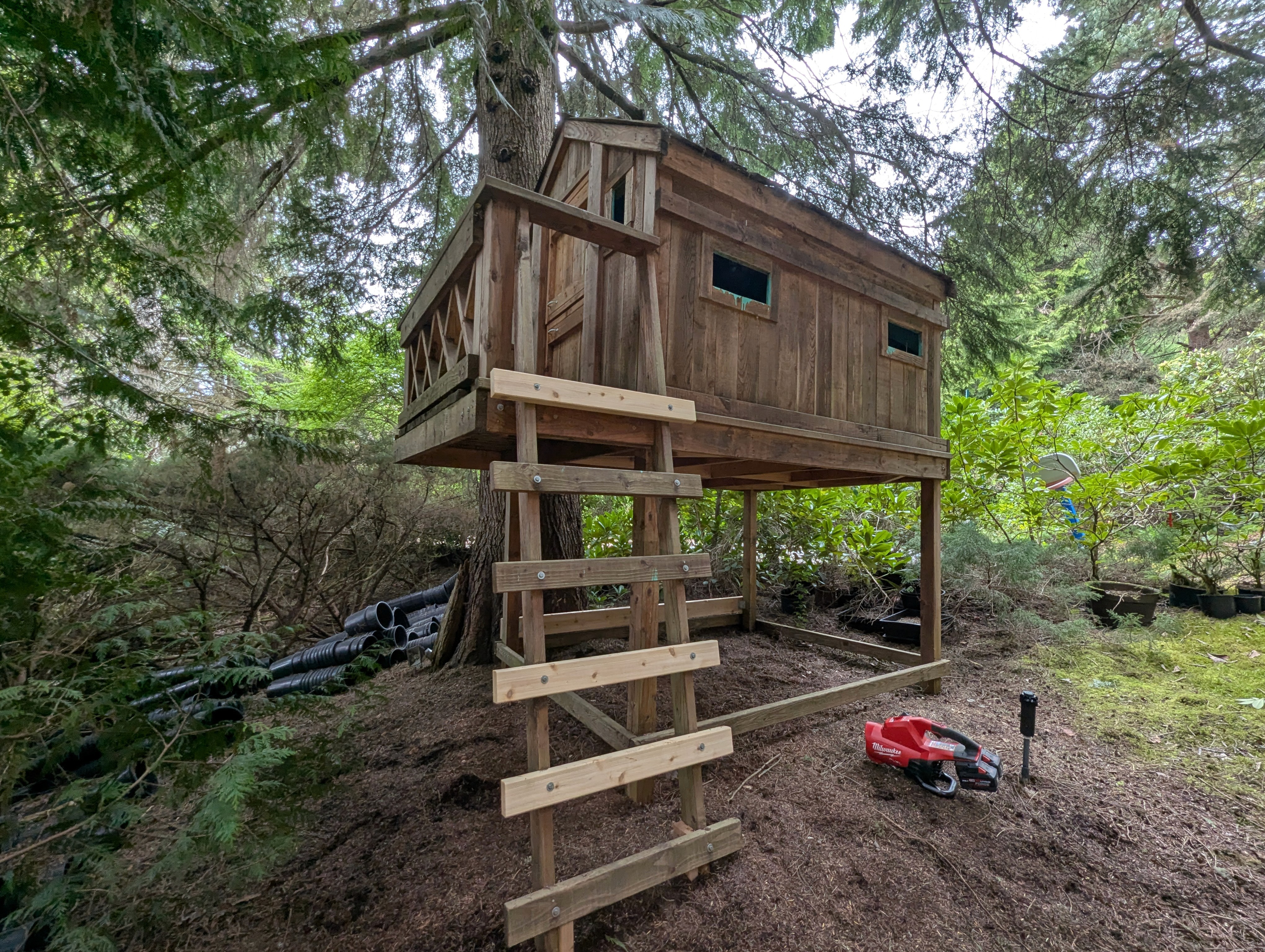Redmond treehouser repair for safety of grandchildren