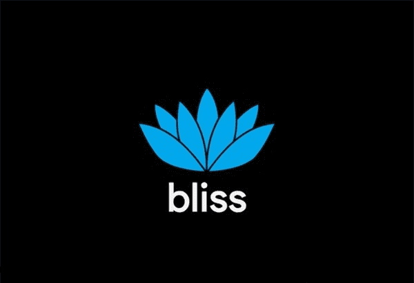 Bliss OS