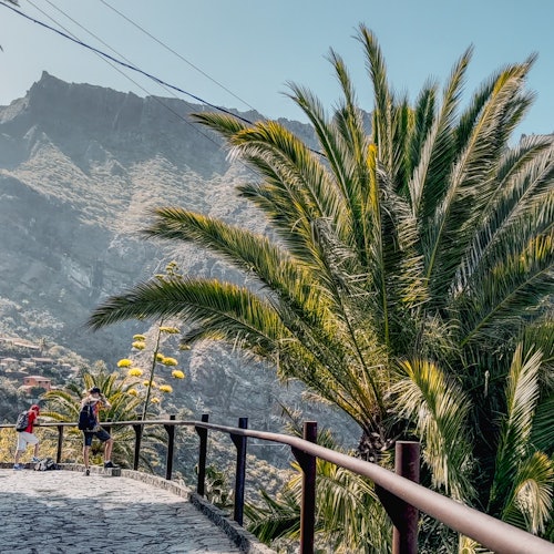 テネリフェ：サン・セバスティアン・デ・ラ・ゴメラでのマスカ入場券付きアイランドツアー