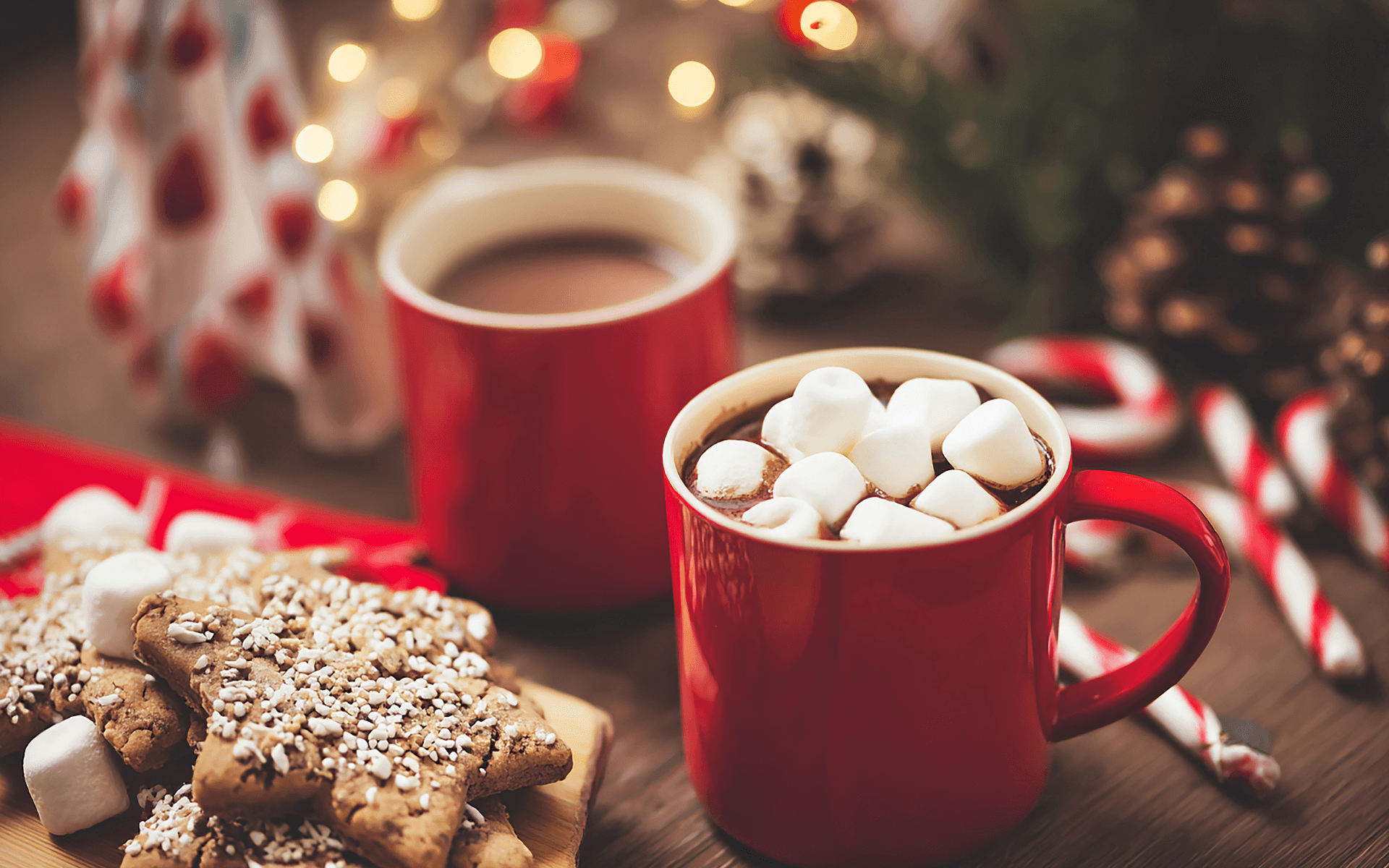 cozy christmas atmosphere with hot chocolate mugs and marshmallows