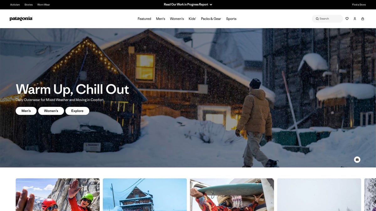 12 Inspiring Ecom Websites to Watch in 2026 - Patagonia