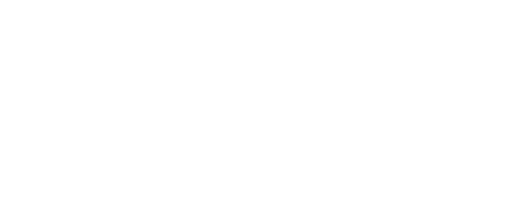 BASSI SBOSS