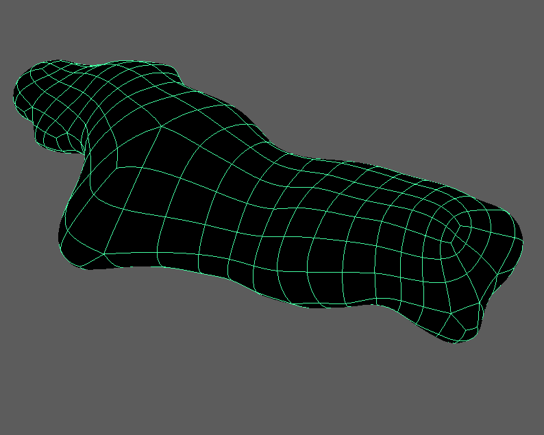 Large wireframe view of an elongated tubular organic form with broad curved topology.