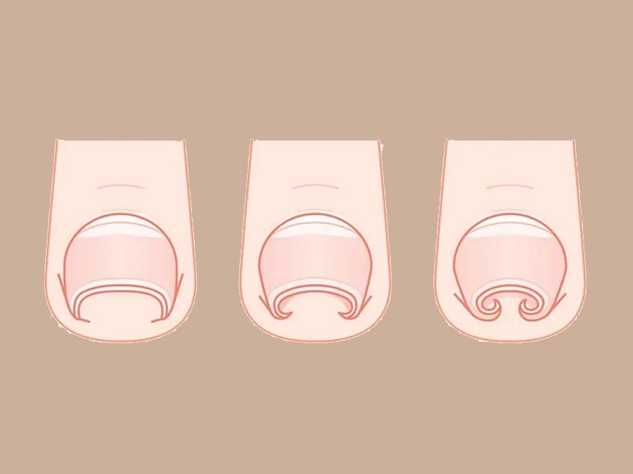 A close-up view of dark green leaves, creating a lush, textured background with subtle variations in color.