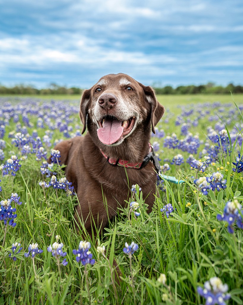 a building with persony windows