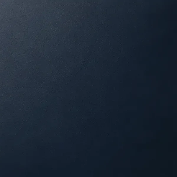 Ink Lacquer: deep blue-black lacquer (W-150) finish swatch