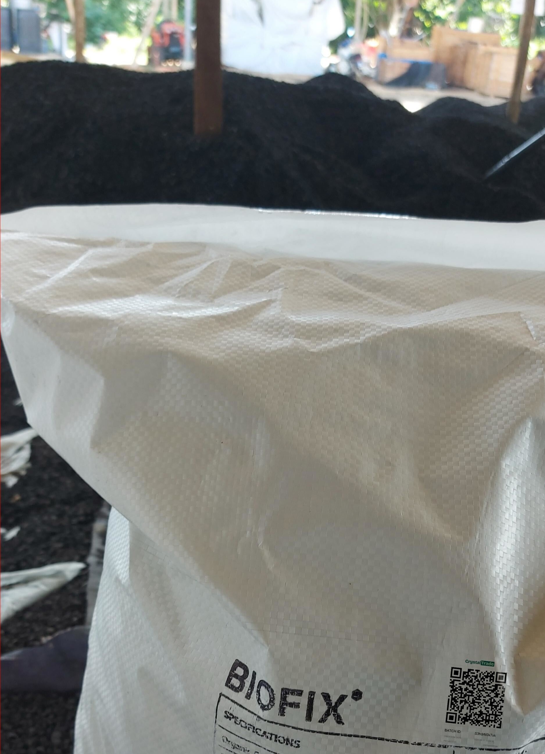 An illustration from Carlos Gomes Cabral