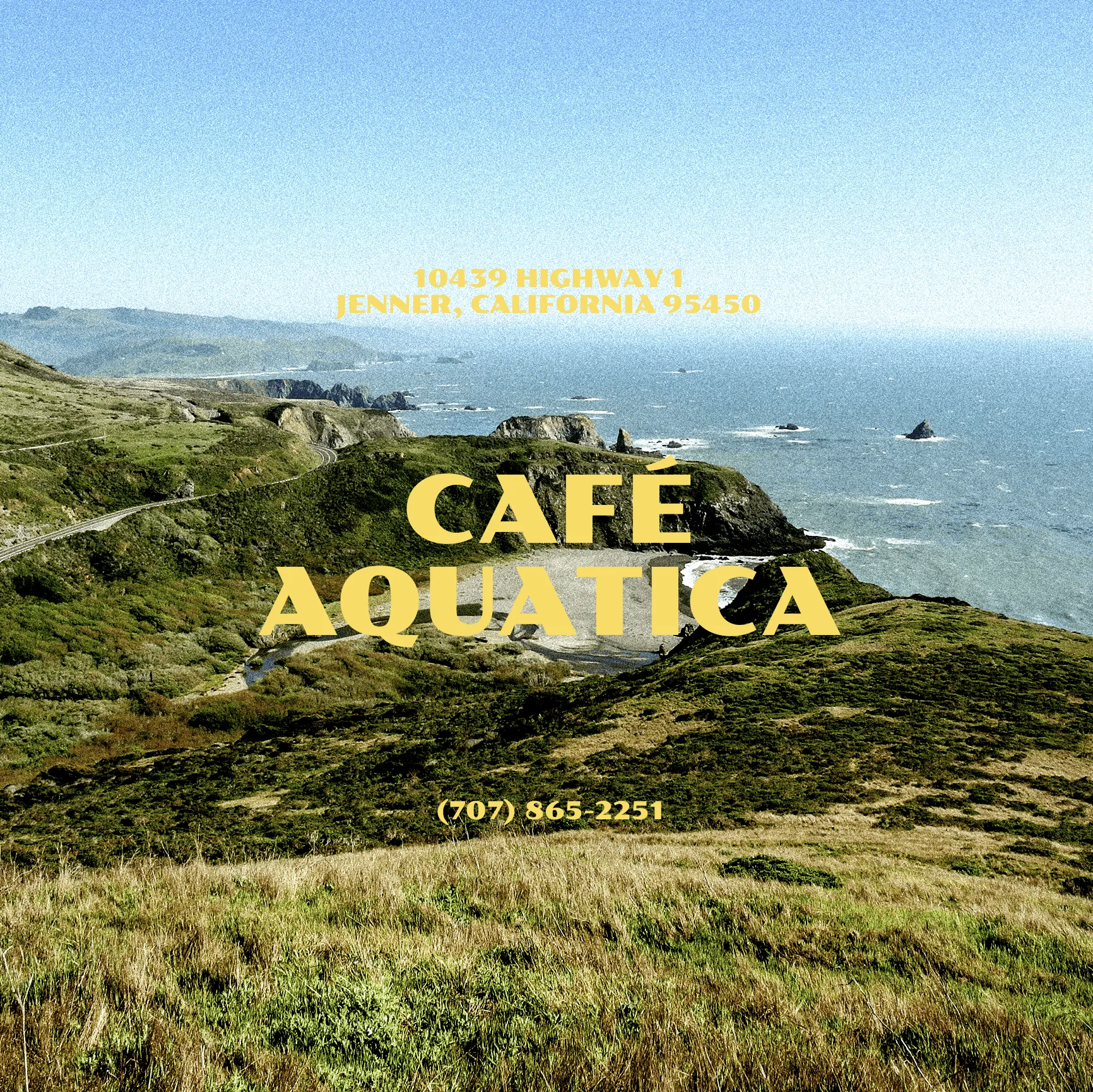 Café Aquatica coffee brand identity & packaging — image 4 by GRNHS