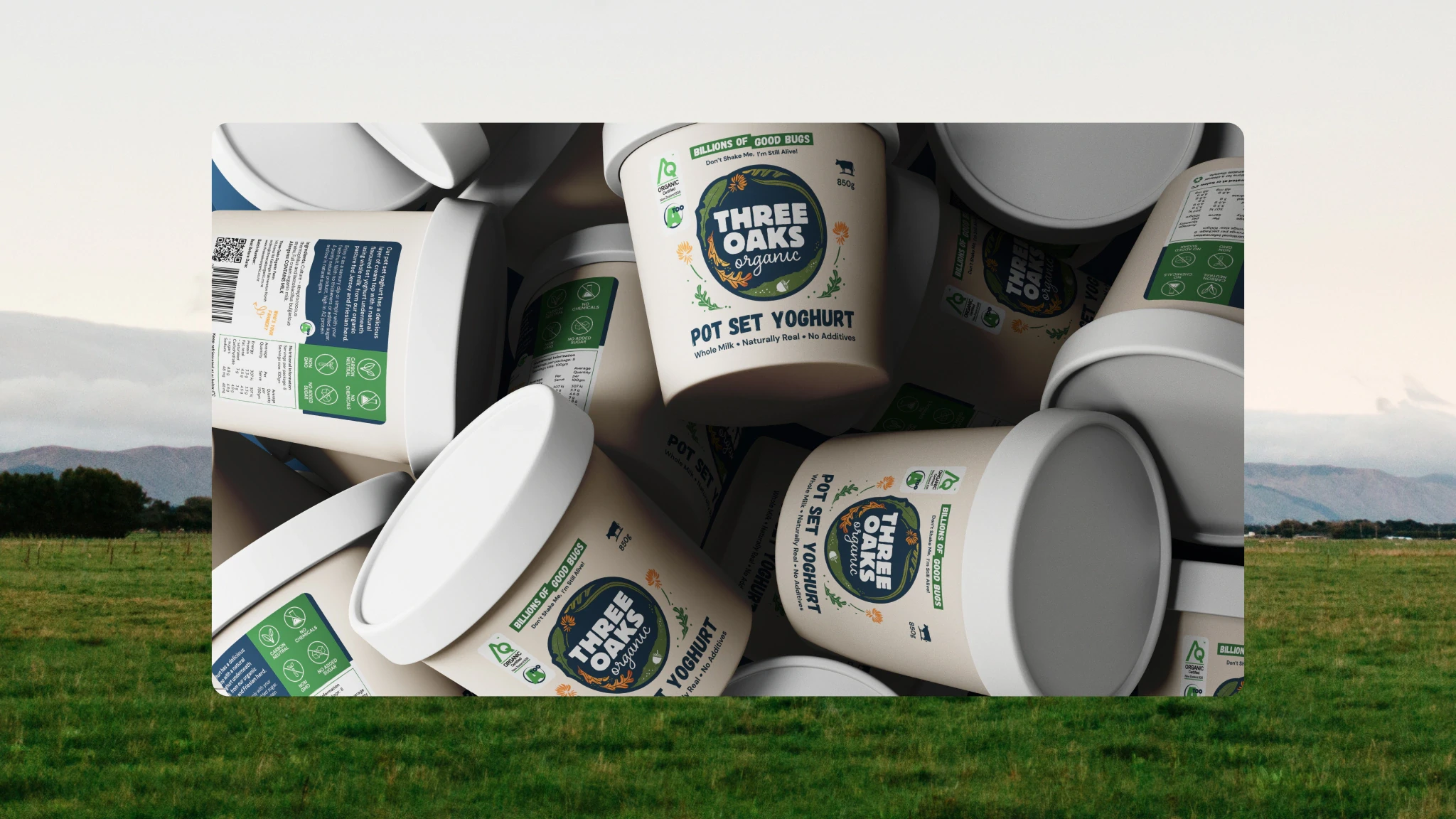 Pile of Three Oaks Organic Yoghurt labels designed by Samuel Marshall.