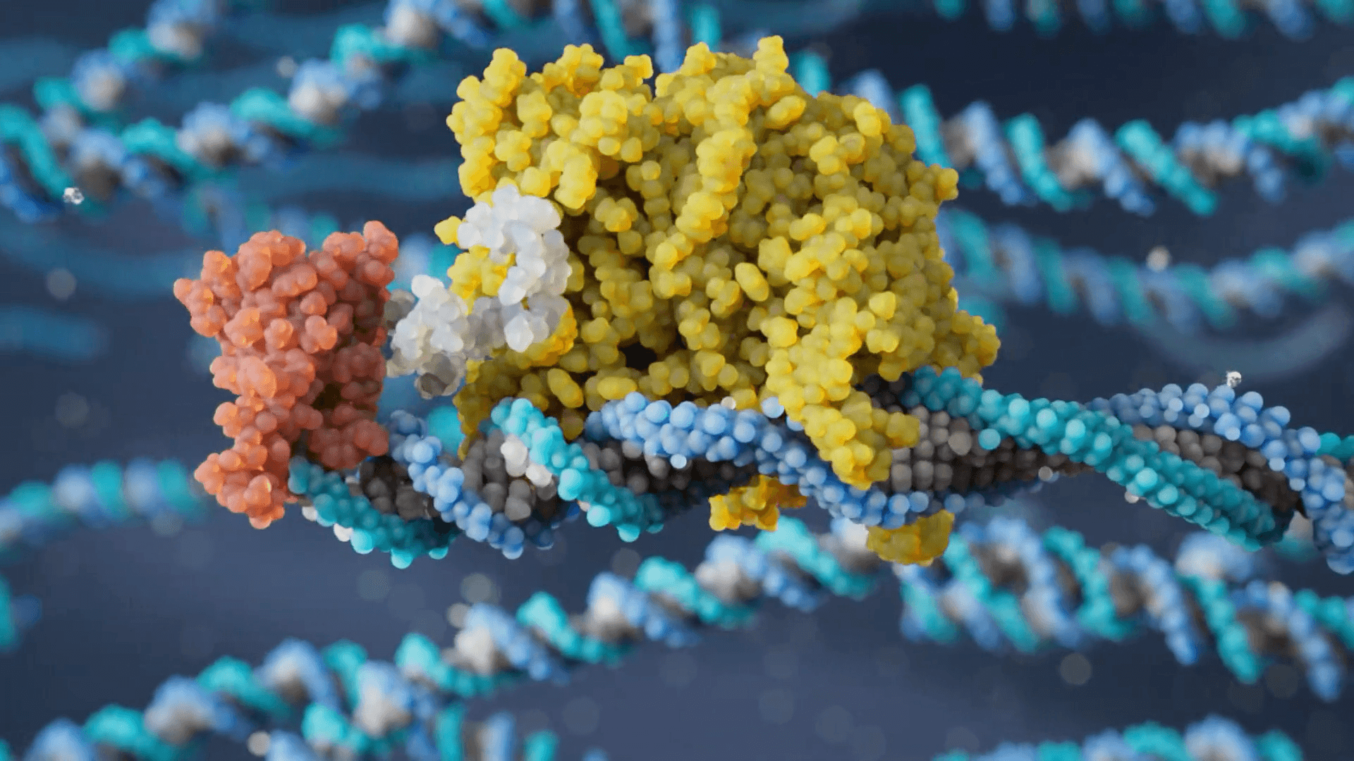 Comparison of LineaIVT and conventional IVT