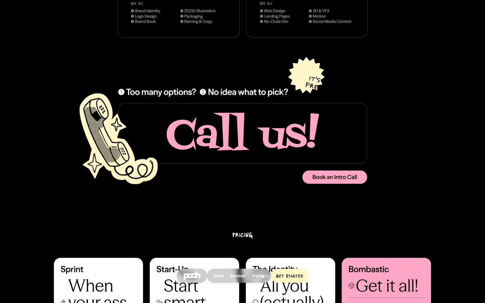 Retro phone illustration with text "Too many options? No idea what to pick? Call us!" and a "Book an Intro Call" button.