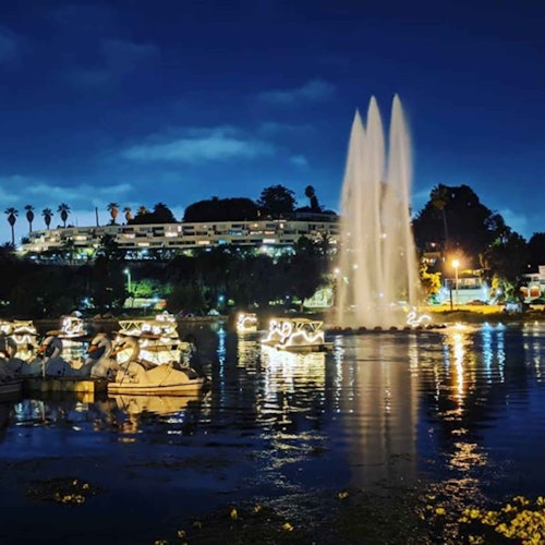 洛杉矶回声公园：天鹅船租赁票