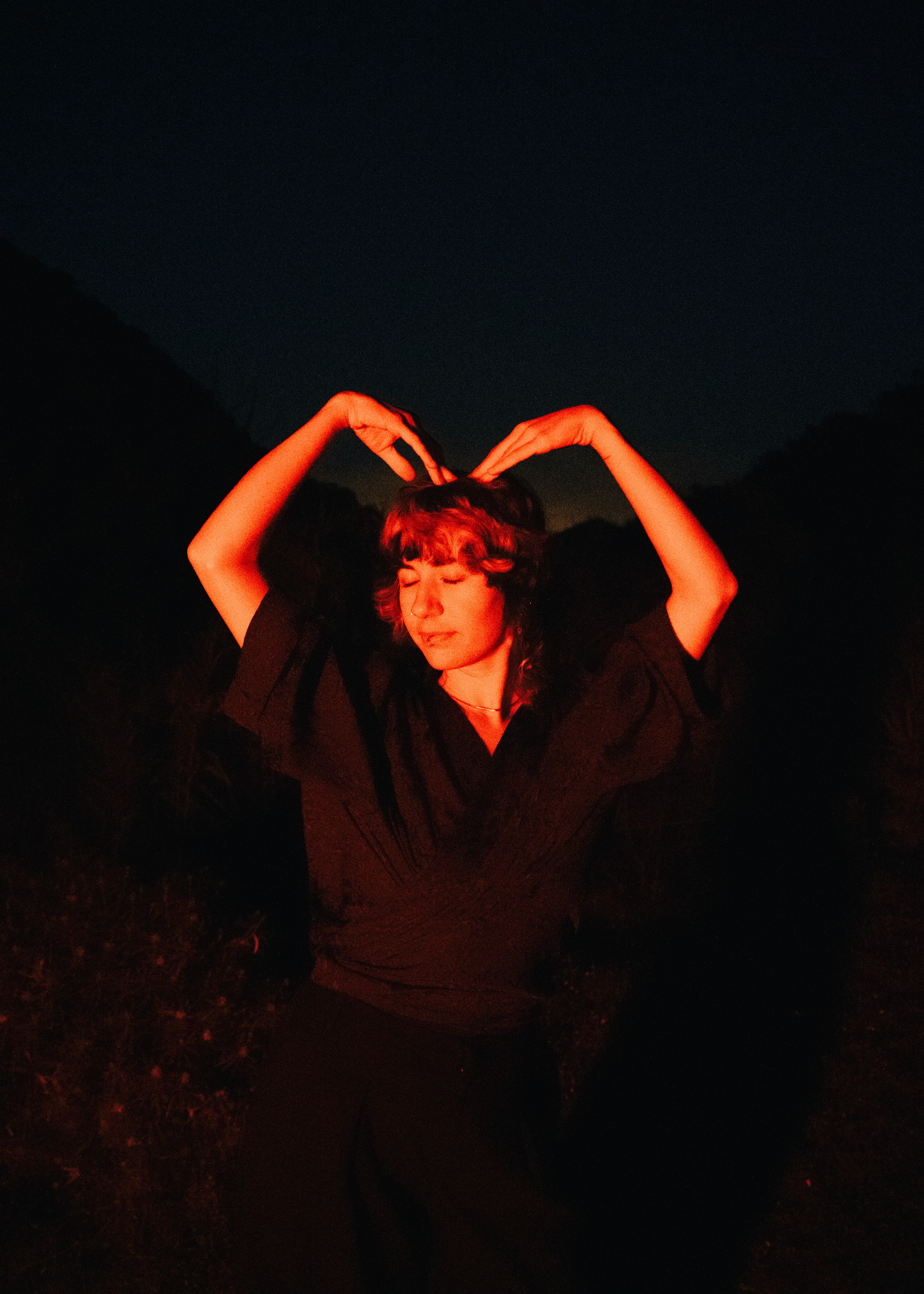 Colorful still life picture of flowers
