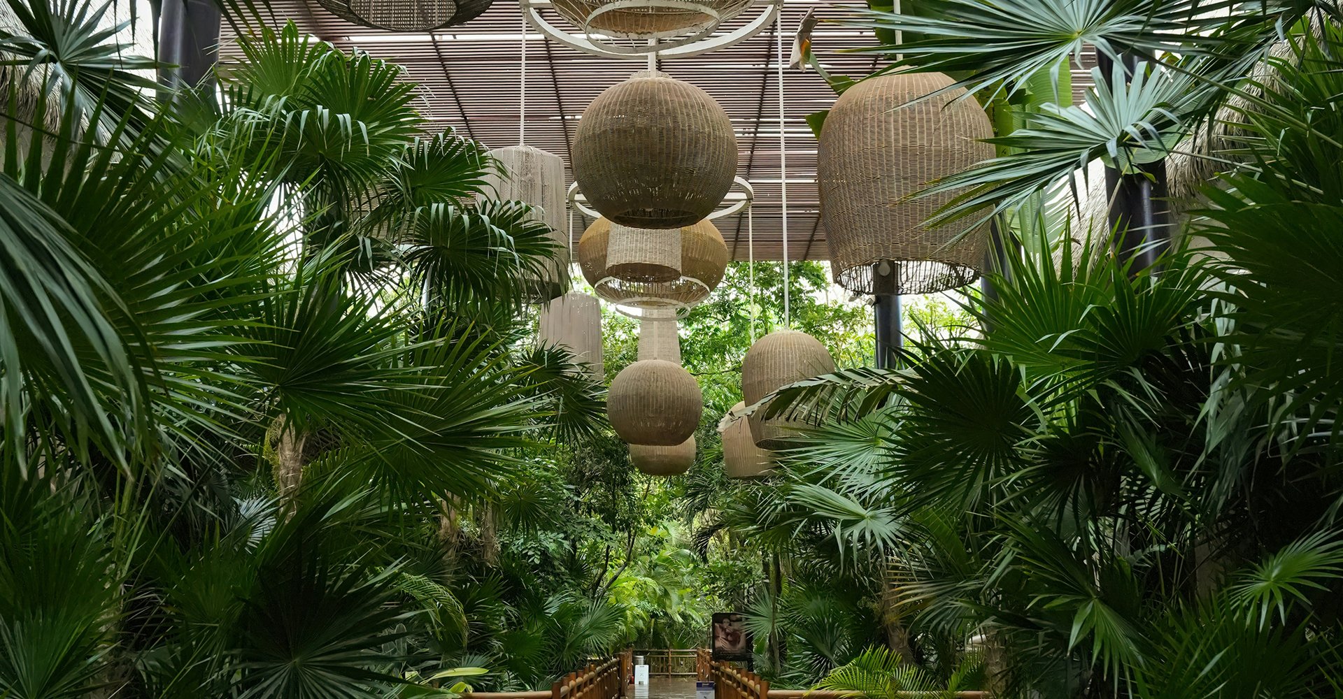 Experience the wild adventures in luxury