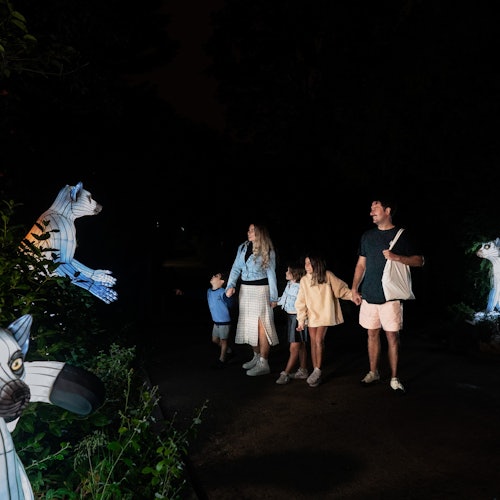 法尼亞自然公園：馬德里布里拉法尼亞門票