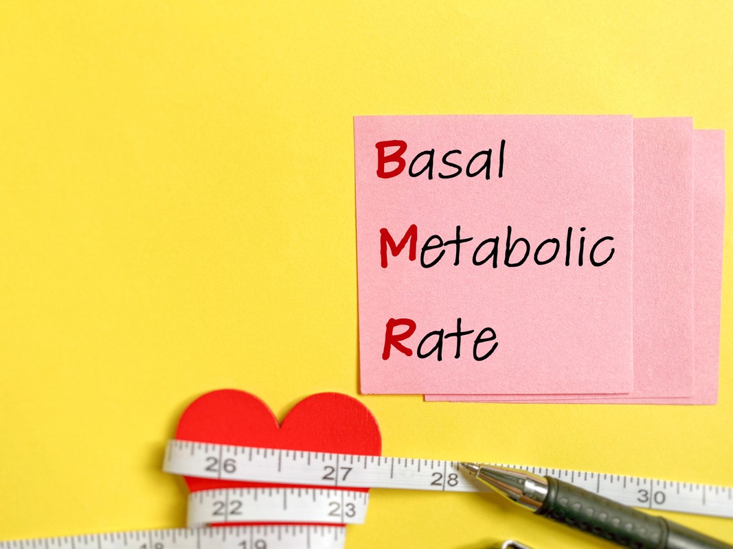 low carb diet to lose weight